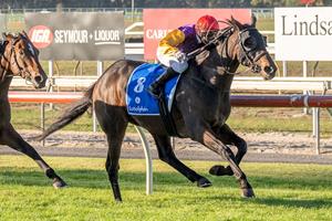 ALL GUNS BLAZING IN PUCKAPUNYAL CUP